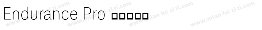 Endurance Pro字体转换